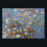 Póster Poster de pintura Van Gogh Almond Blossom<br><div class="desc">Paintaje paisajístico post-impresionista de Vincent van Gogh - Clásicas Obras Maestras - Serie de pintura natural Vincent Van Gogh - Florencia de almendras en tonos azules</div>