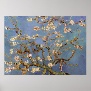 Póster Poster de pintura Van Gogh Almond Blossom