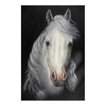 poster de pinturas de sementales de caballo blanco