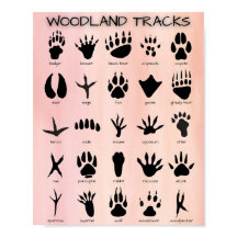 Poster de pistas de Woodland