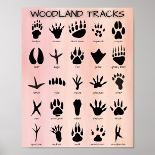 Póster Poster de pistas de Woodland