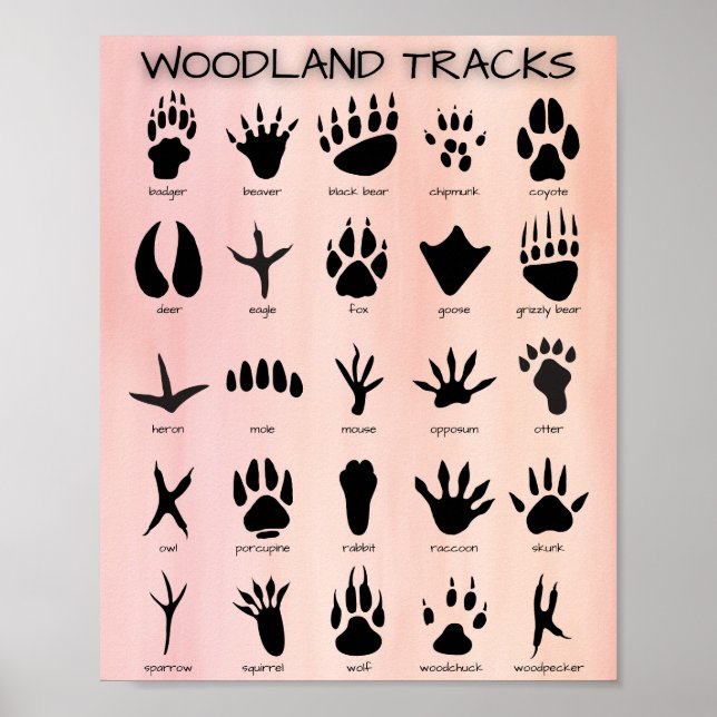 Póster Poster de pistas de Woodland (Frente)