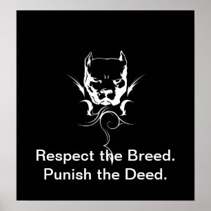 Póster Poster de Pitbull.