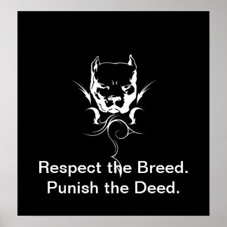 Póster Poster de Pitbull.