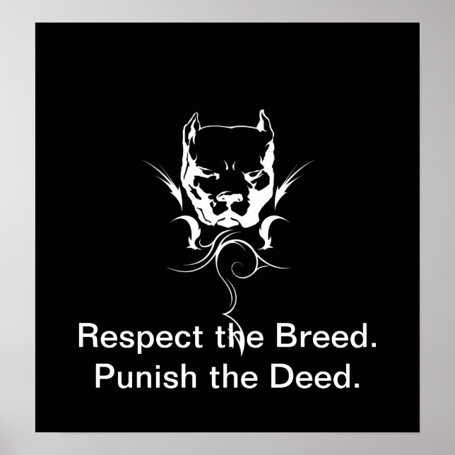 Póster Poster de Pitbull. (Frente)