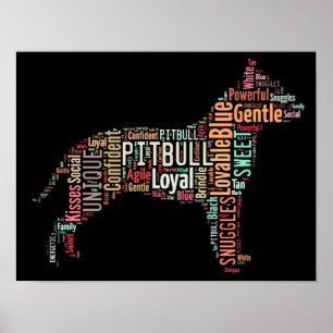 Póster Poster de Pitbull