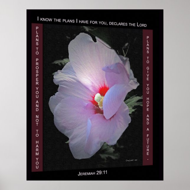 Póster Poster de Planes (Frente)