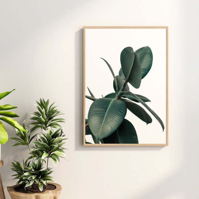 Póster Poster de planta tropical verde (Green Tropical Plant Poster on the wall surronded with green house plants.)