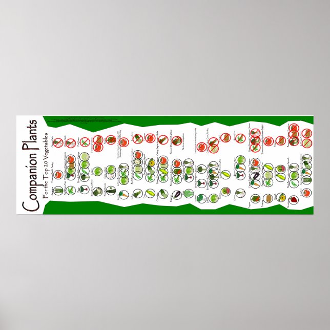 Póster Poster de Plantas Companion: Las 20 mejores planta (Frente)