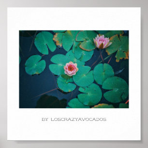 Póster Poster De Plantas De Lirio De Agua Rosa Estilizado