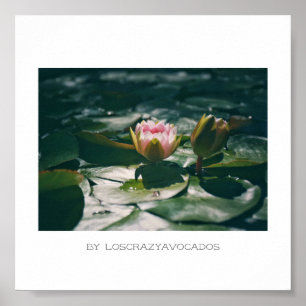 Póster Poster De Plantas De Lirio De Agua Rosa Estilizado