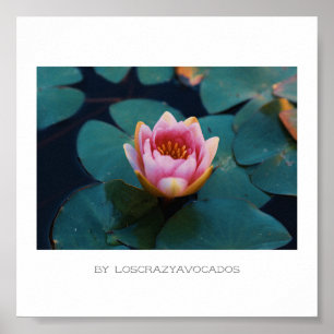 Póster Poster De Plantas De Lirio De Agua Rosa Estilizado