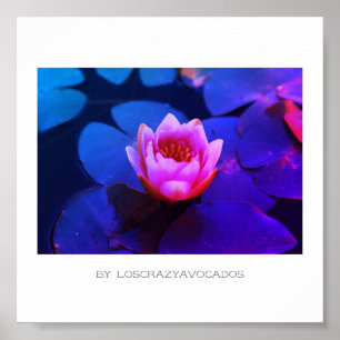 Póster Poster De Plantas De Lirio De Agua Rosa Estilizado