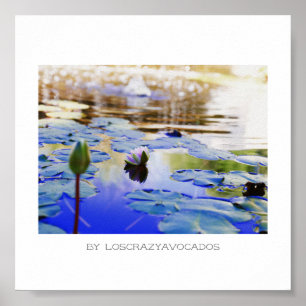 Póster Poster De Plantas De Lirio De Agua Rosa Estilizado