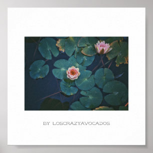 Póster Poster De Plantas De Lirio De Agua Rosa Estilizado