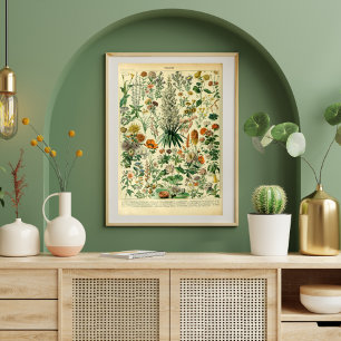 Póster Poster de plantas de pradera de flores silvestres 