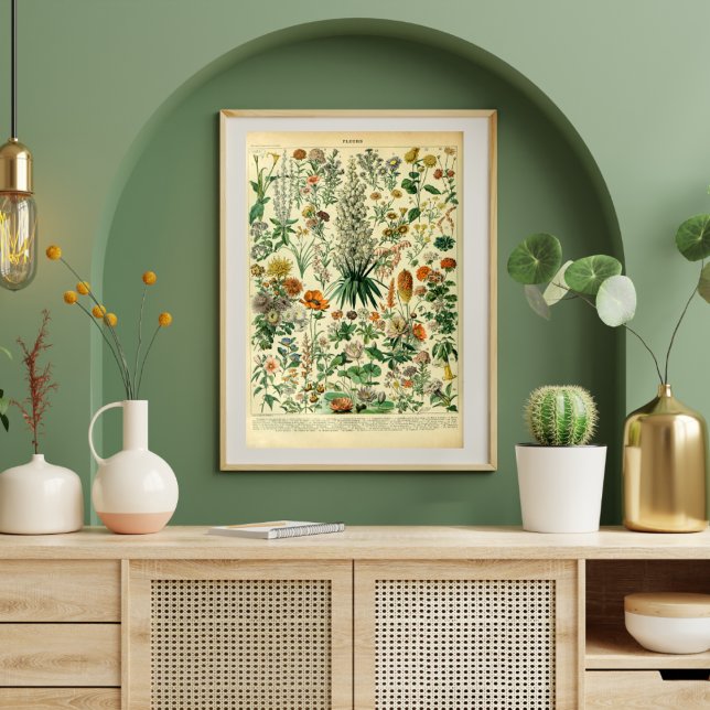Póster Poster de plantas de pradera de flores silvestres  (Subido por el creador)
