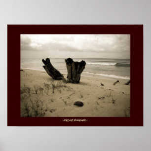 Póster poster de playa