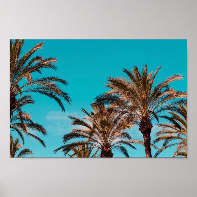 Póster Poster de playa (Frente)