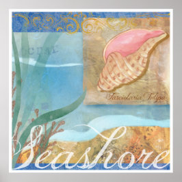 Póster Poster de playa IV, "Mar con caparazón de tulipane