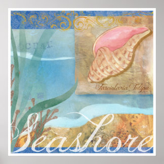 Póster Poster de playa IV, "Mar con caparazón de tulipane