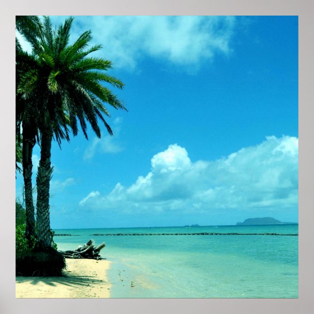 Póster Poster de playa tropical de Hawái (Frente)