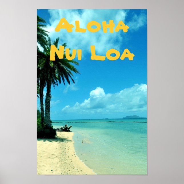 Póster Poster de playa tropical de Hawái (Frente)