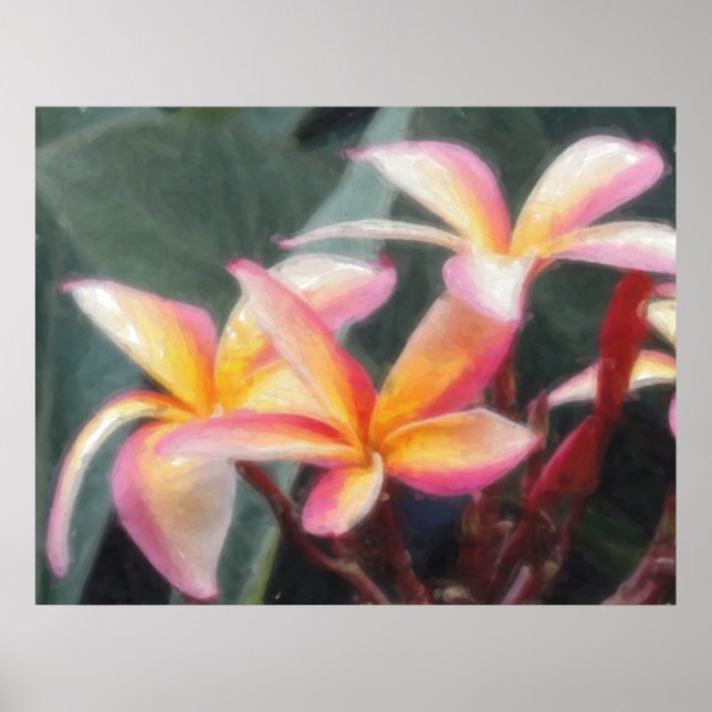 Póster Poster de Plumeria Tropical de Hawái (Frente)