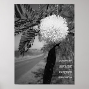 Póster Poster De Poemas De Flor En Hawái Negra Y Blanca