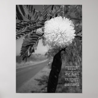 Póster Poster De Poemas De Flor En Hawái Negra Y Blanca