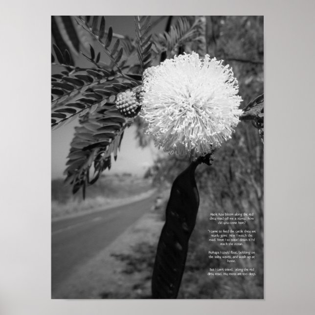 Póster Poster De Poemas De Flor En Hawái Negra Y Blanca (Frente)