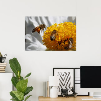 Póster Poster de polen Bumble Bee