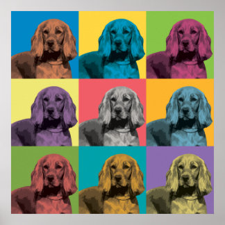 Póster Poster de Pop-Art de Cocker Spaniel