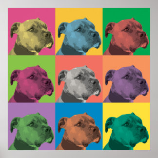 Póster Poster de Pop-Art de Pit Bull