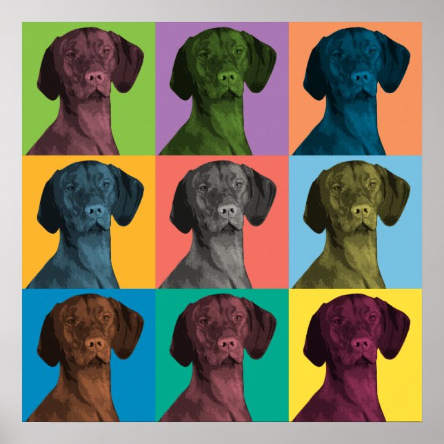 Póster Poster de Pop-Art de Vizsla (Frente)