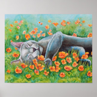 Póster Poster de Poppy