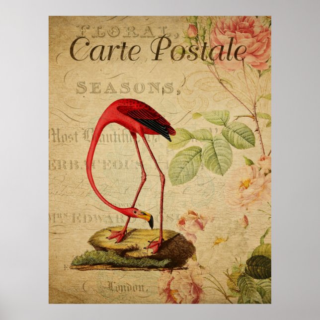 Póster Poster de postales francés Flamingo Vintage (Frente)