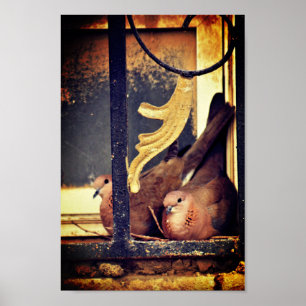 Póster Poster de preparación del paciente