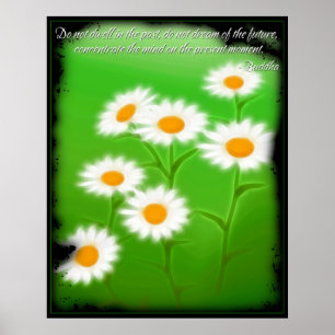 Póster Poster de presupuesto de Buddha Concentrate