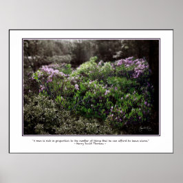 Póster Poster de presupuesto de Thoreau - Laurel de oveja