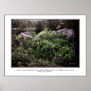 Póster Poster de presupuesto de Thoreau - Laurel de oveja