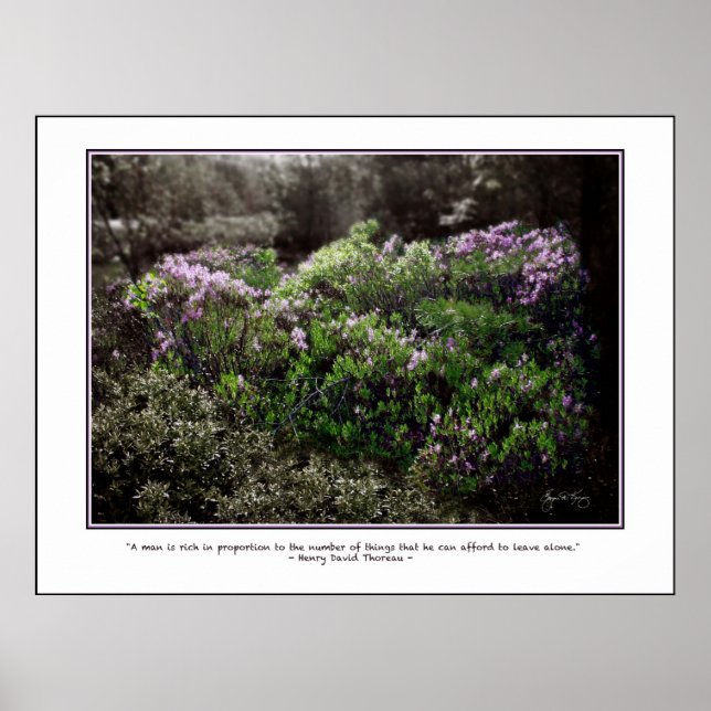 Póster Poster de presupuesto de Thoreau - Laurel de oveja (Frente)