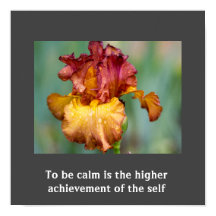 Poster de presupuesto inspirador