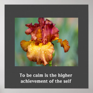 Póster Poster de presupuesto inspirador