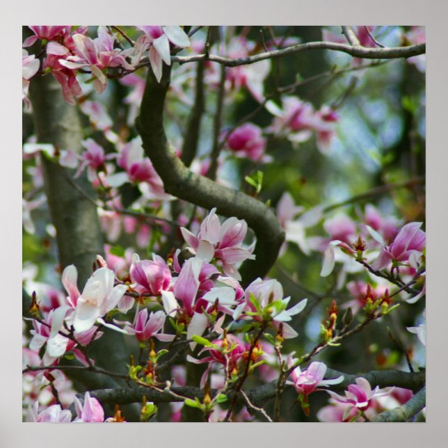 Póster Poster de primavera (Frente)
