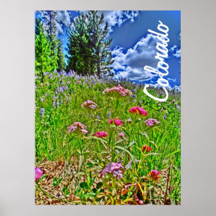 Póster Poster de primavera de Colorado