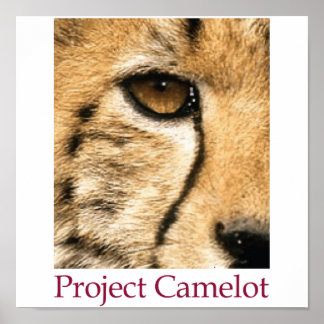 Póster Poster de Project Camelot