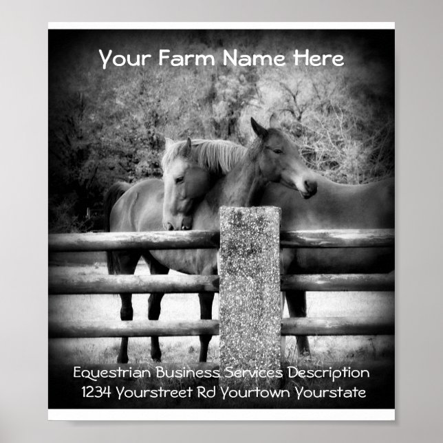 Póster Poster de publicidad de servicios de caballos (Frente)