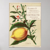 Poster de publicidad del extracto de sabor vintage