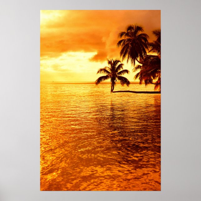 Póster Poster de puesta de sol de la palmera horizontal (Frente)